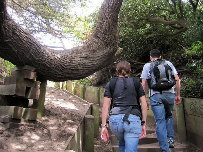 30 ‘Screw It, I’ll Deal With The Consequences Later’ Moments, As Shared By People Online