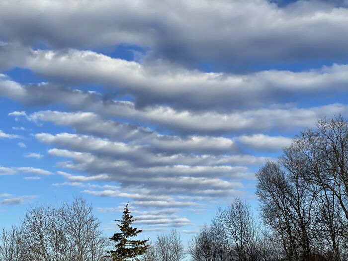 Winter’s Day In Connecticut