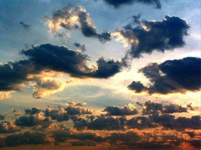 I Think It’s Mind Blowing How Pretty They Are