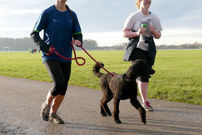 30 Small Habits That Have A Significant Impact On Daily Life, According To Folks In This Online Group