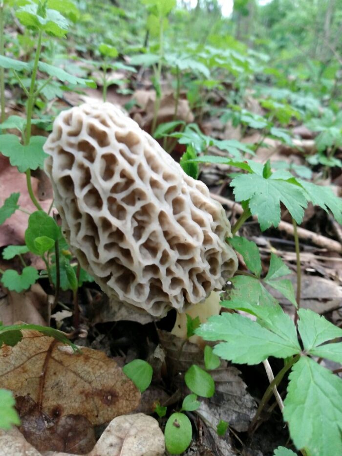 The One Dad Walked Past. Don't Worry Mom, I Have His Back.