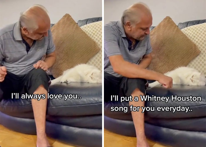 Dad Who Dislikes Cats Became Obsessed With The One His Son Brought Home, Now They&rsquo;re Inseparable