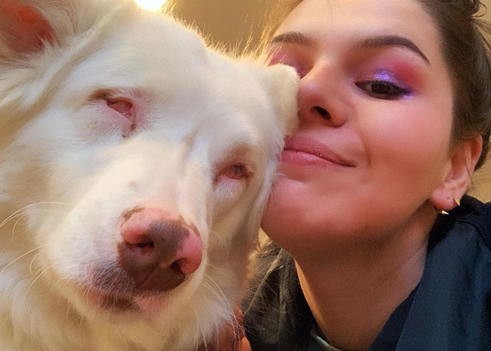 Grandpa’s Worries About Dog Not Recognizing Him After A Year Apart Disappear As Excited Dog Rushes To Him Grandpa’s Worries About Dog Not Recognizing Him After A Year Apart Disappear As Excited Dog Rushes To Him