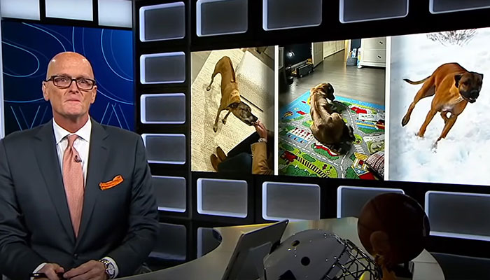 Heartfelt Tribute To Family Dog Who&rsquo;d Passed Away Has Touched Thousands