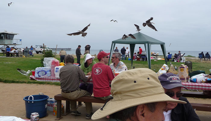 &ldquo;Oh, He Likes Those&rdquo;: Tesco&rsquo;s Staff Have Given Up Trying To Stop Steven The Seagull From Stealing Any More Crisps