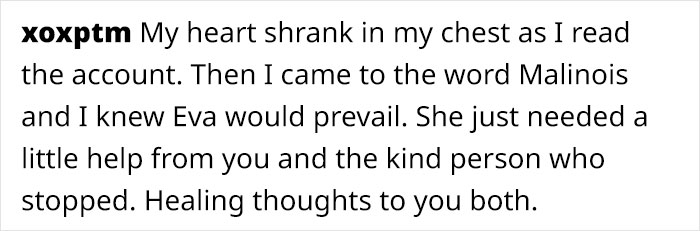 Eva The Dog Heroically Saved Her Owner&rsquo;s Life During Mountain Lion Attack