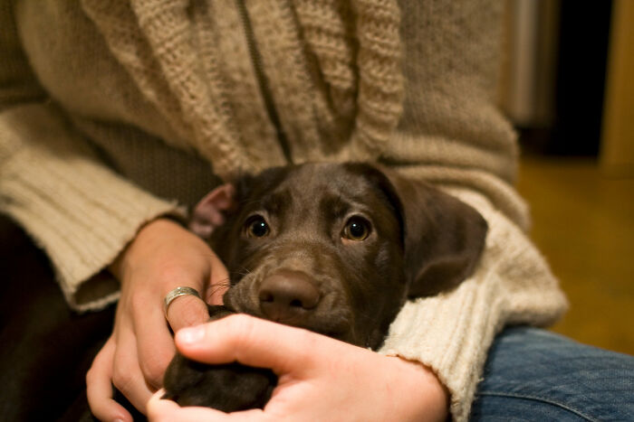 Someone Asked “What’s The Easiest, Legal Way To Make Money On The Side?”, And 30 People Delivered