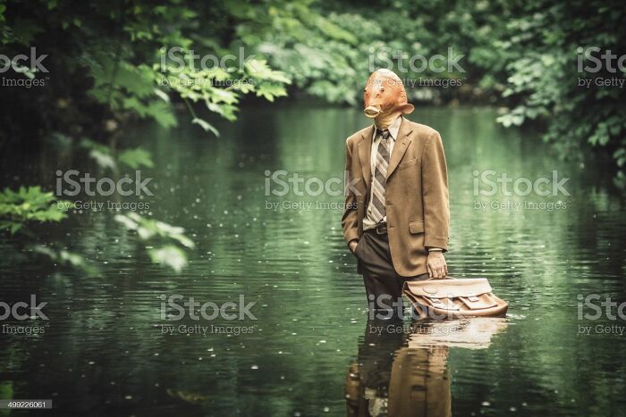 A person in a business suit wearing a fish mask standing in a river, holding a briefcase. Weird stock image concept.