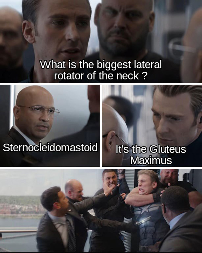 Chemistry Jokes Are Nice But Anatomy Is Better