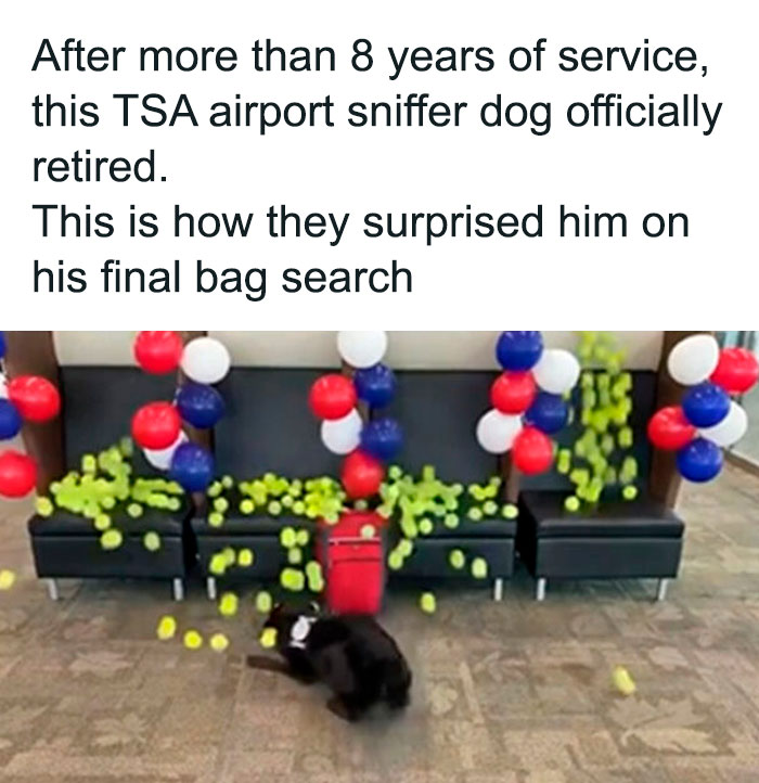 Unexpected-Wholesome-Situations