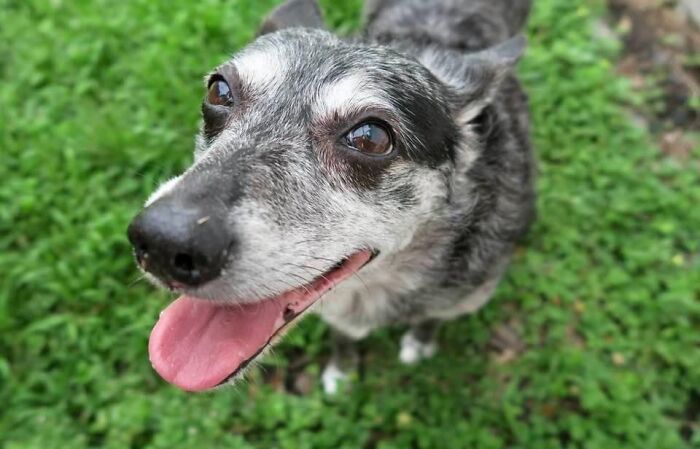 My Happy Girl, Tonks!