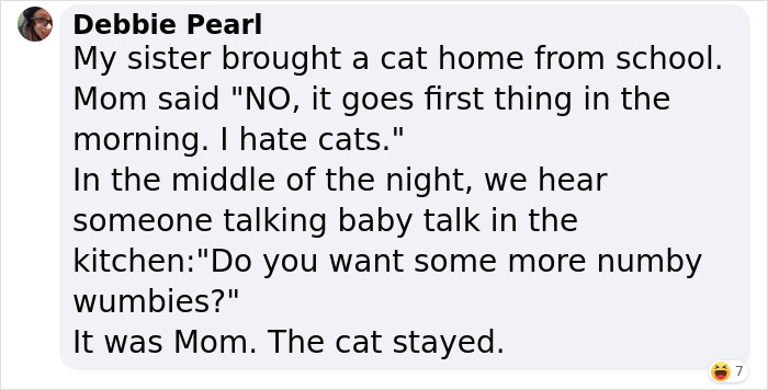 Dad Who Dislikes Cats Became Obsessed With The One His Son Brought Home, Now They&rsquo;re Inseparable