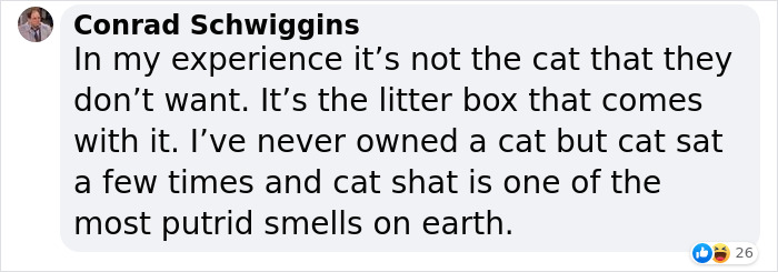Dad Who Dislikes Cats Became Obsessed With The One His Son Brought Home, Now They&rsquo;re Inseparable