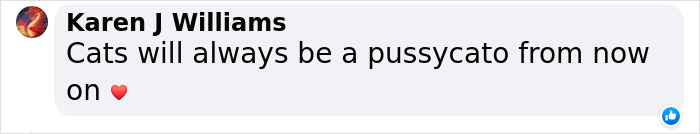 Dad Who Dislikes Cats Became Obsessed With The One His Son Brought Home, Now They&rsquo;re Inseparable