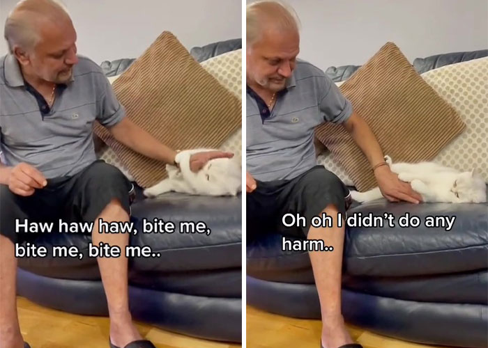 Dad Who Dislikes Cats Became Obsessed With The One His Son Brought Home, Now They&rsquo;re Inseparable