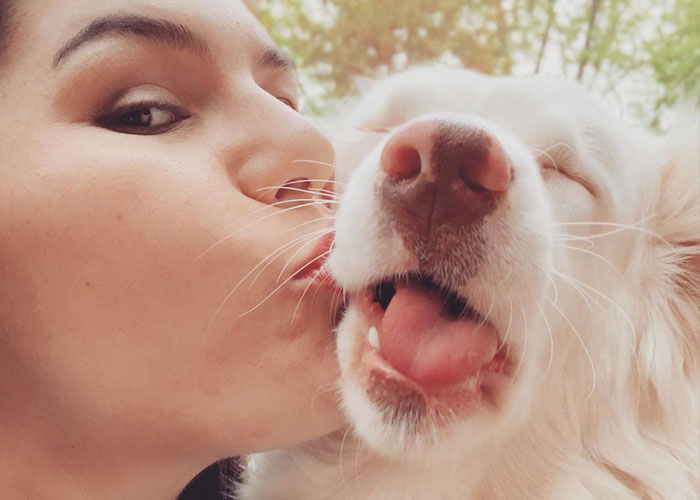 Grandpa’s Worries About Dog Not Recognizing Him After A Year Apart Disappear As Excited Dog Rushes To Him Grandpa’s Worries About Dog Not Recognizing Him After A Year Apart Disappear As Excited Dog Rushes To Him