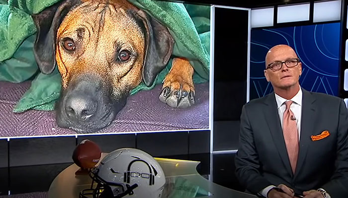 Heartfelt Tribute To Family Dog Who&rsquo;d Passed Away Has Touched Thousands