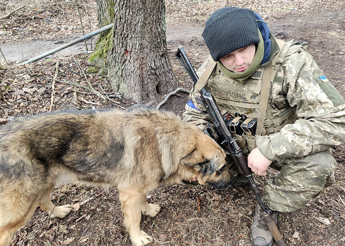 Dog Abandoned By Russian Troops Finds New Owners Within The Ukrainian Army