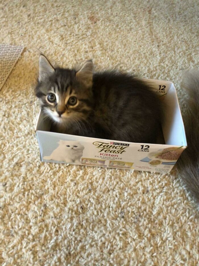 Caught This Foster Potato This Morning