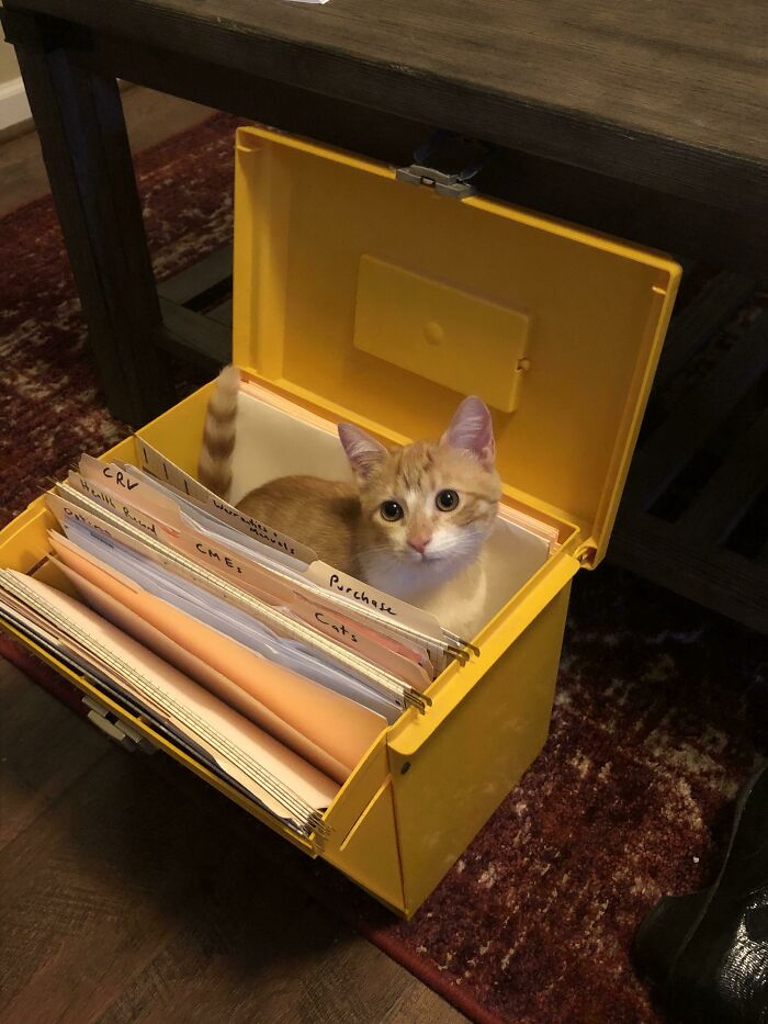 Filed Under T For Trouble