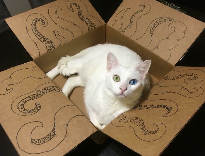 The Tentacle Trap Is Working