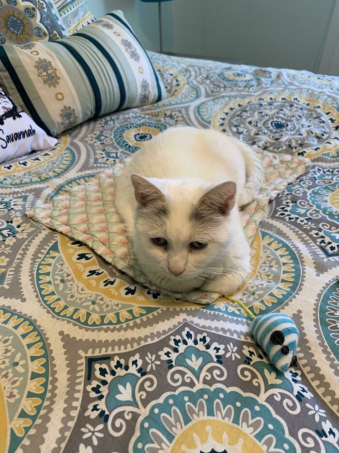 Just An Old Lady With Her “Blankie”. Her Favorite Possession