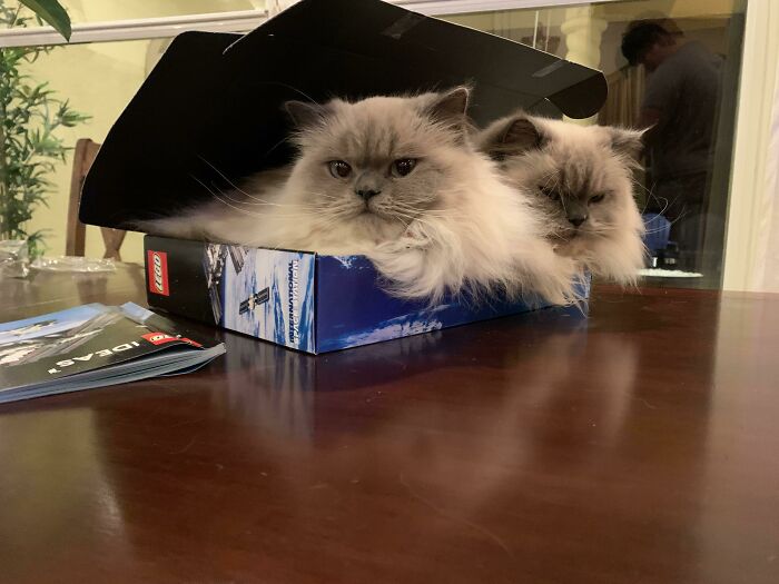 I Caught A Double. How Rare