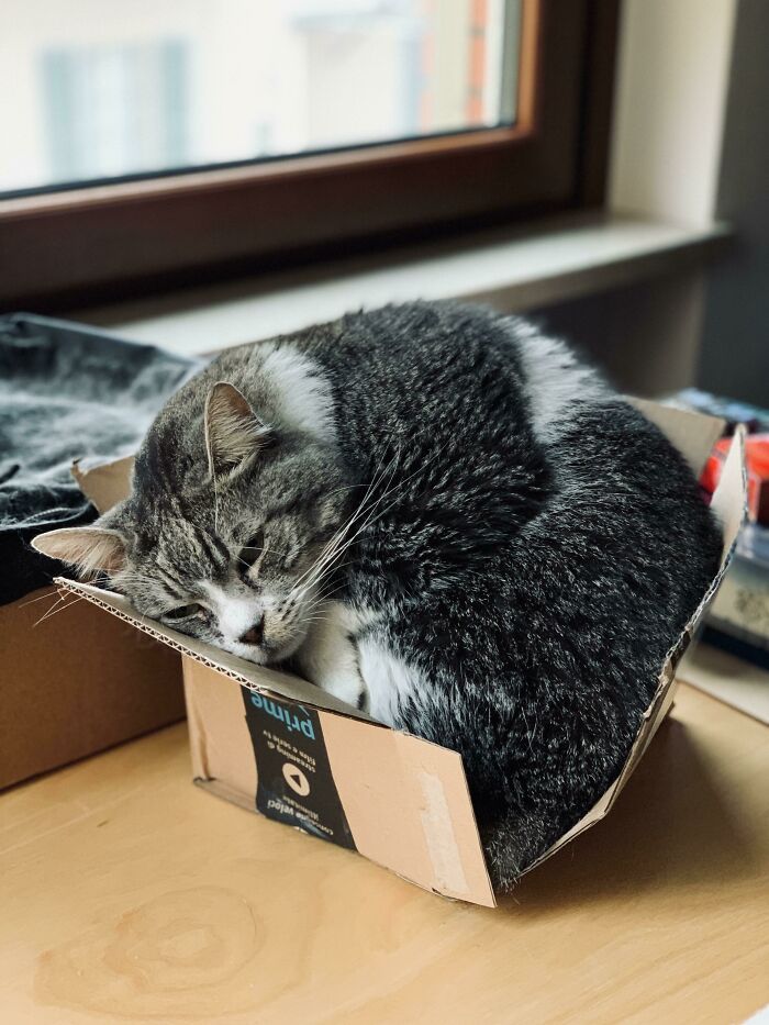 This Trap Is Small And Broken But Still Working