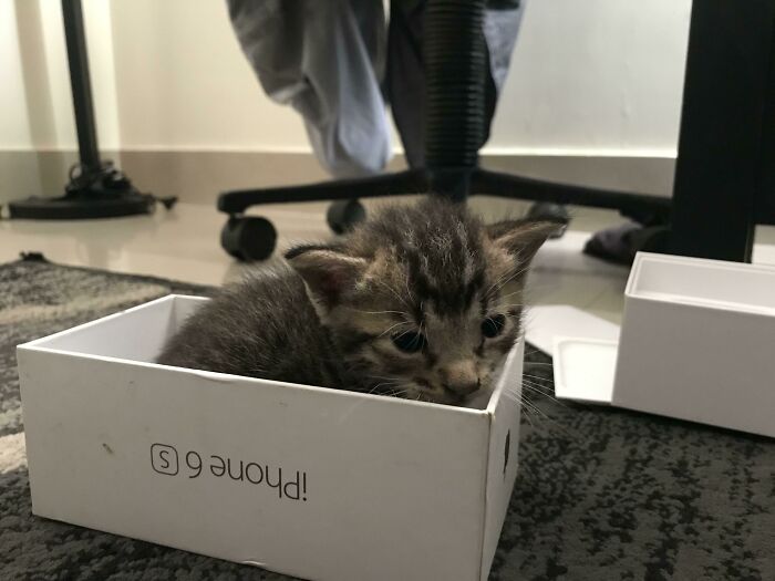 Unintentional Tiny Trap