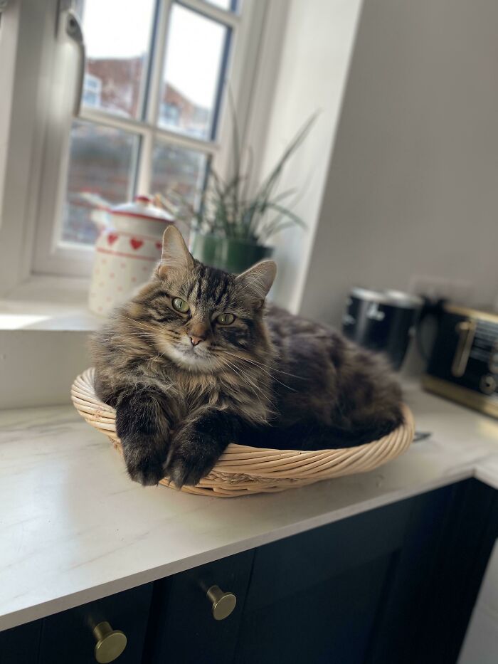 Caught Myself A Good Boy