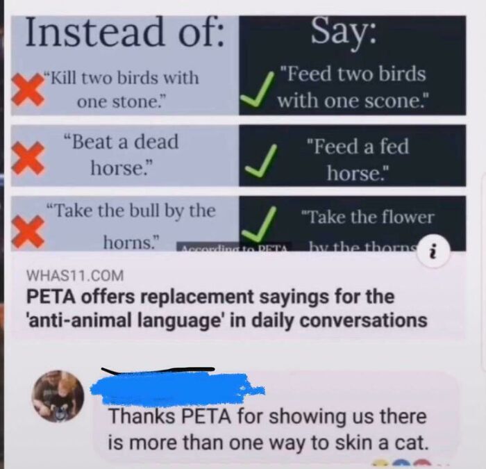 My Goose Is Cooked Or My Goose Has Flown The Coop?