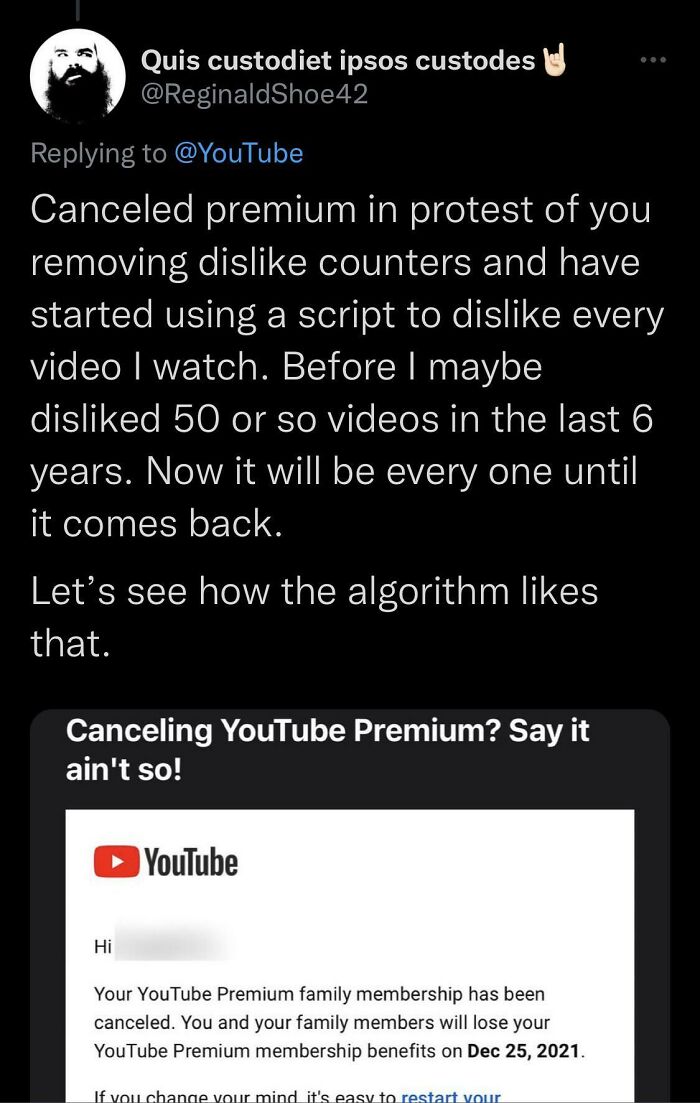 Madlad Protests Youtube Dislike Removal By Unsubscribing From Premium And Disliking Every Video He Watches