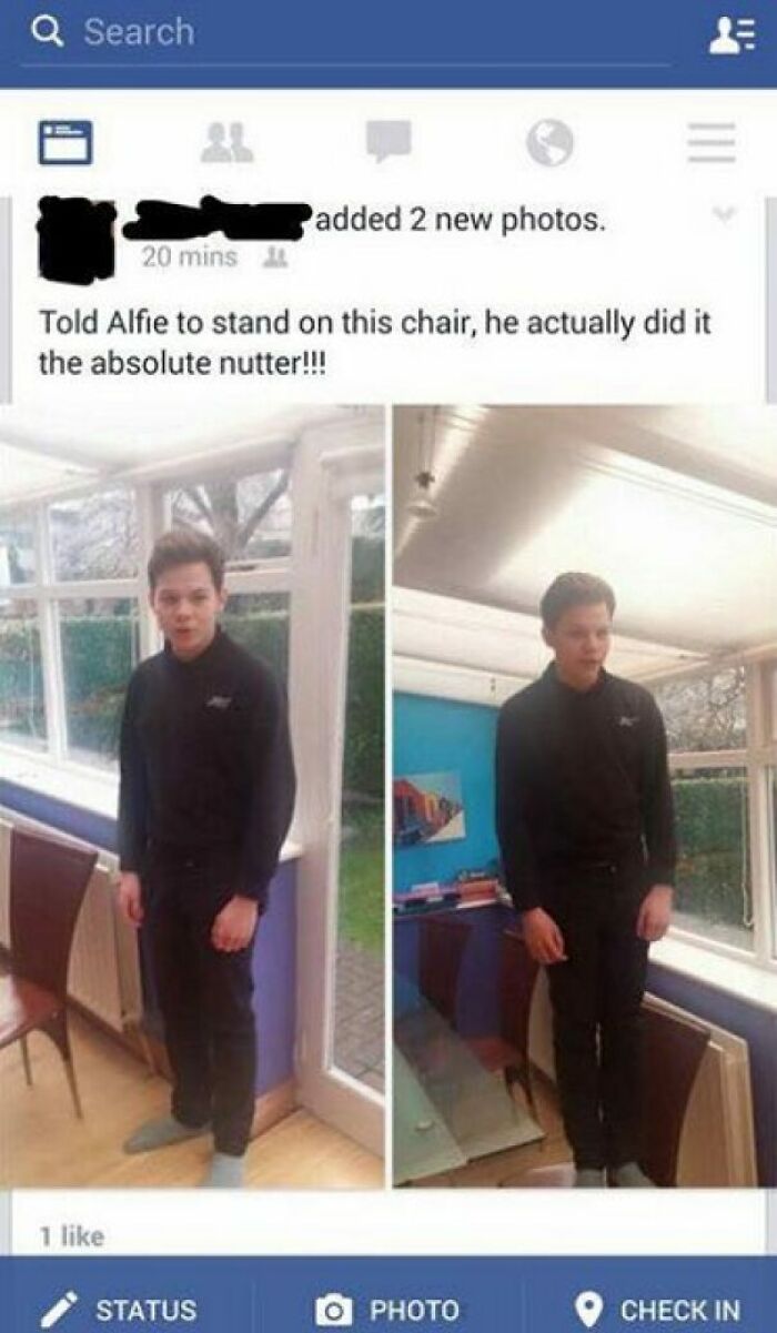 Alfie Is A Proper Safety Hazard