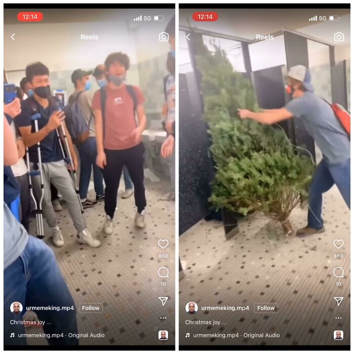 Woah You Brought A Plant To The Boys Bathroom? Absolutely Mental(Crowd Gathered Too)!