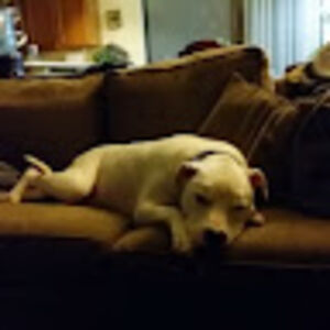 peterclarke_1 avatar