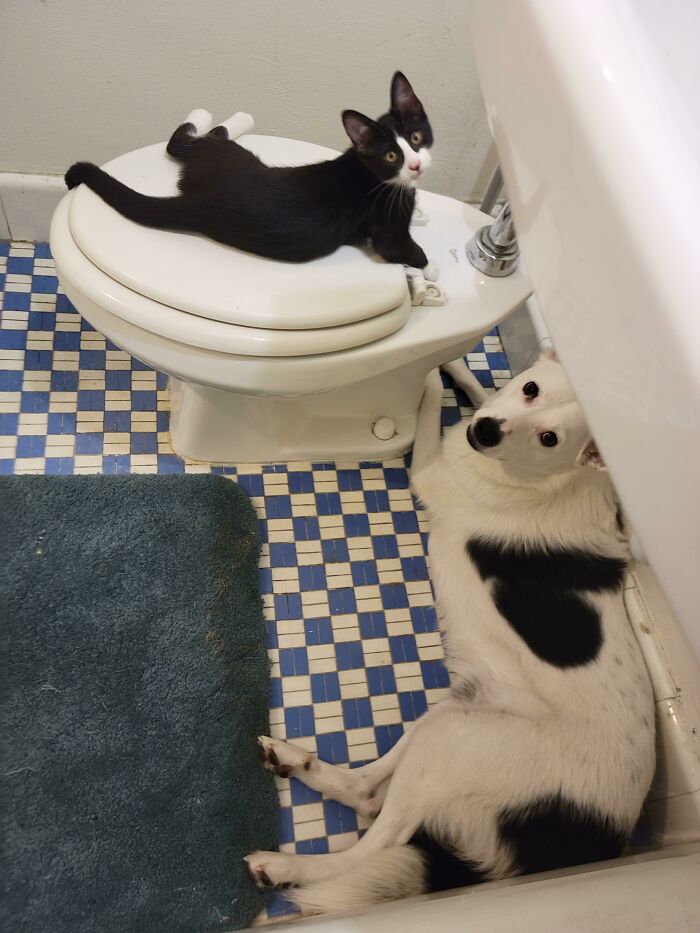 This Is What I See Each Time I'm About To Get Out Of The Shower