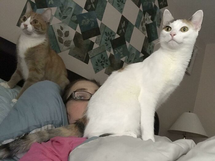 When I Sleep In A Little On A Sunday And Breakfast Is Late