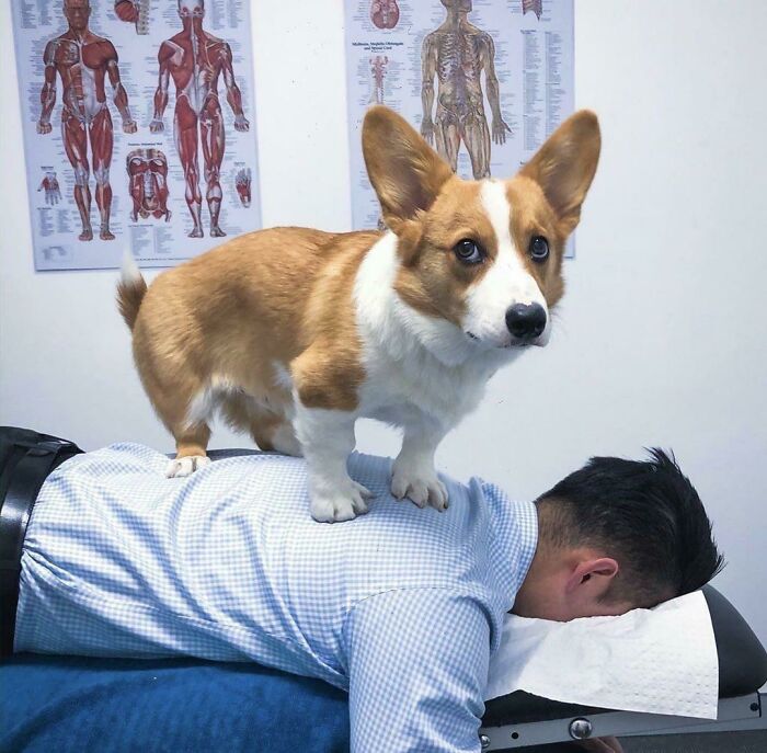 You’re Going To Hear A Little Pawp