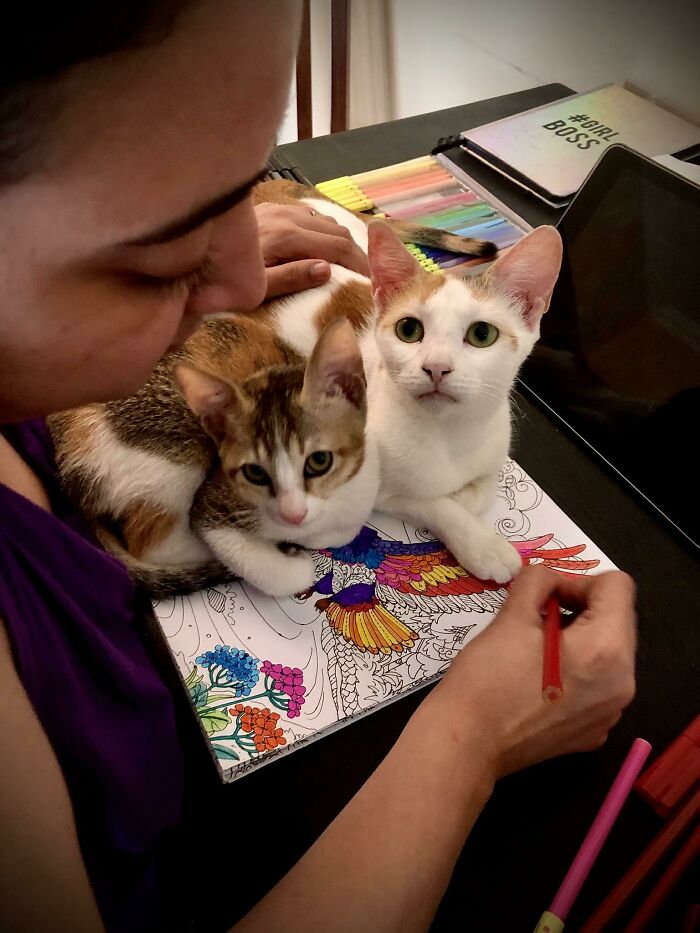 How Do I Work From Home When This Happens