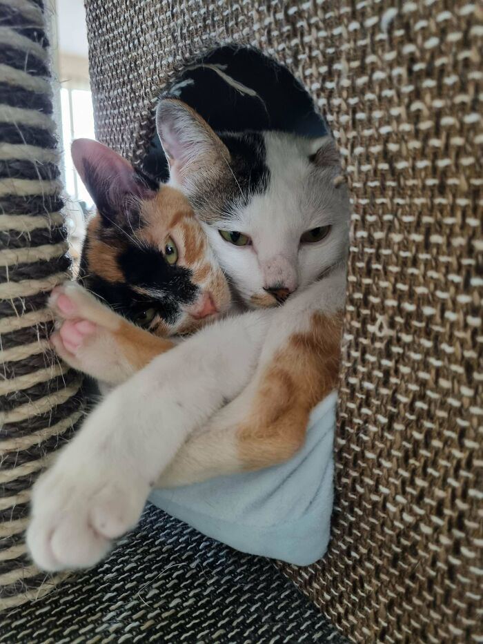 Personal Space Is A Foreign Concept For These Munchkins