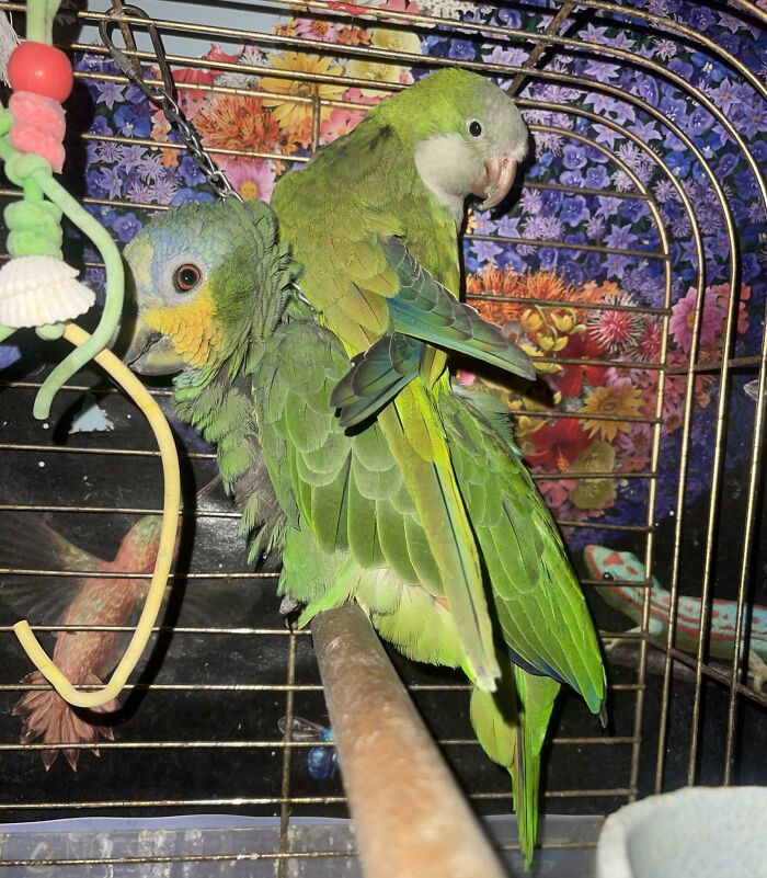 Tucker Has Some Serious Personal Space Issues, Boogie Just Wanted To Get Some Sleep