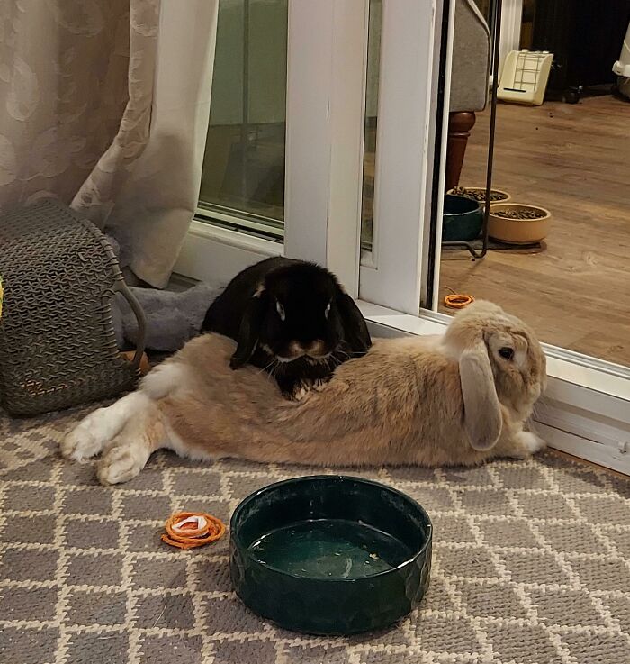 Perry Doesn't Know The Meaning Of Personal Space