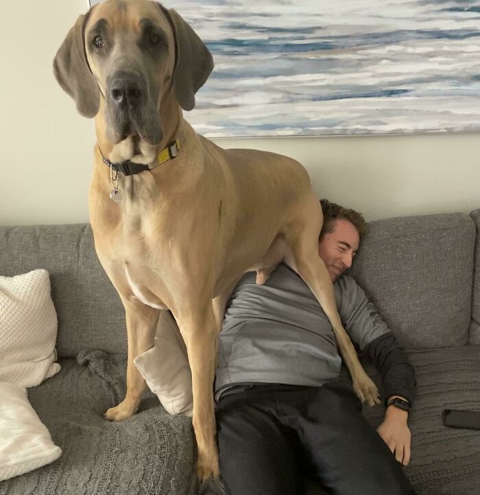 My Dog Has No Sense Of Personal Space