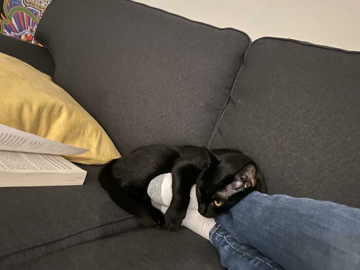 Yogi Hates Personal Space