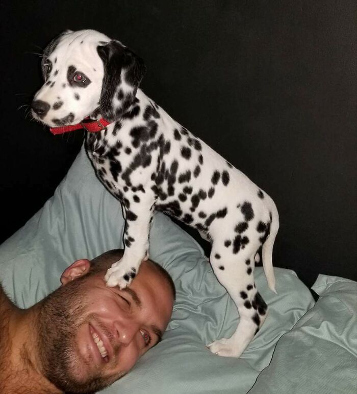 No Concept Of Personal Space