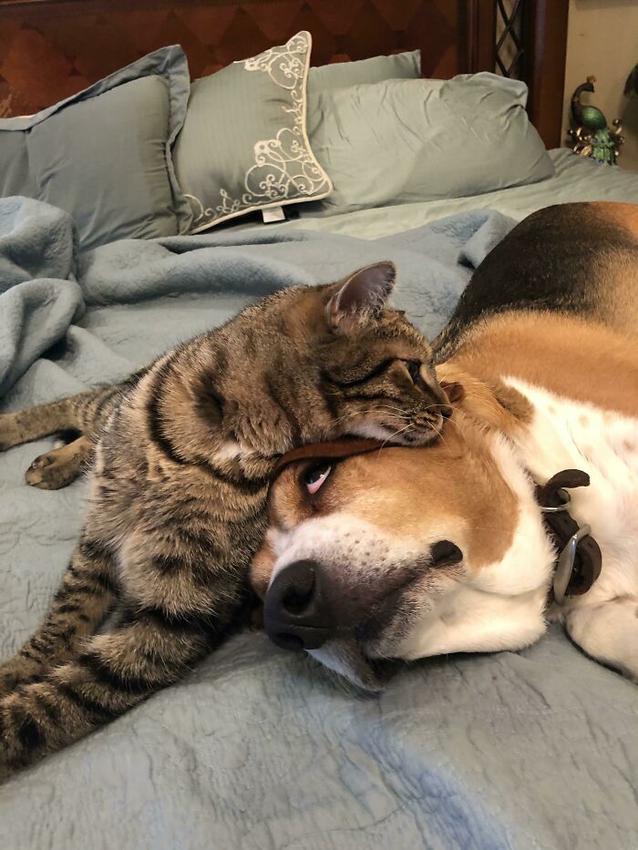 They’re Working On This Personal Space Thing