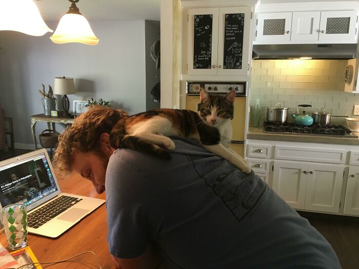 My Cat Doesn't Know What "Personal Space" Means