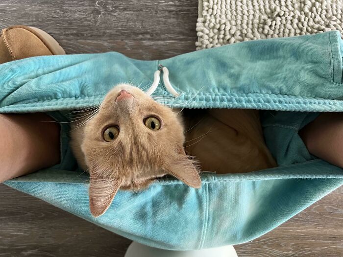 No Such Thing As Personal Space