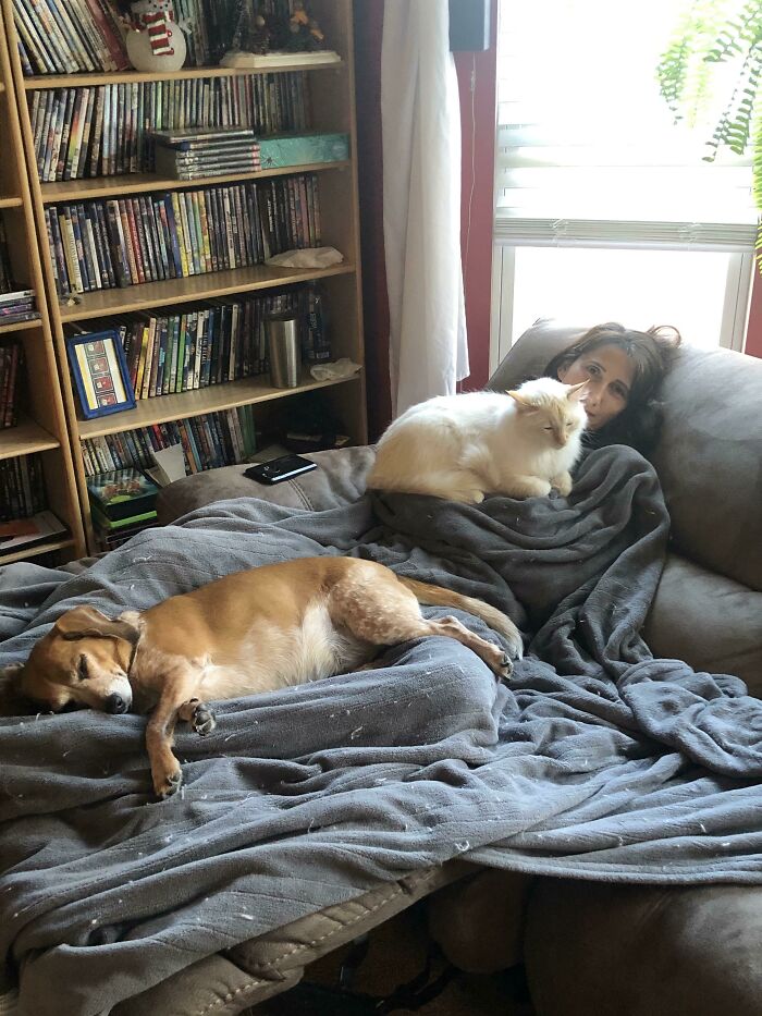 Personal Space Doesn’t Seem To Exist For These Two