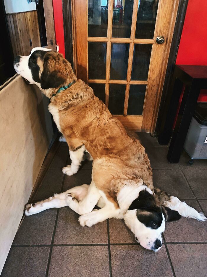 Brothers Who Have No Sense Of Personal Space